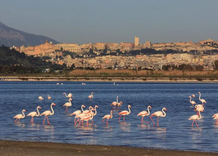 Mari'entu クアルトゥ・サンテーレナ
